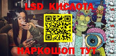 твердый Гатчина