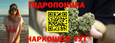 прущие грибы Балашиха