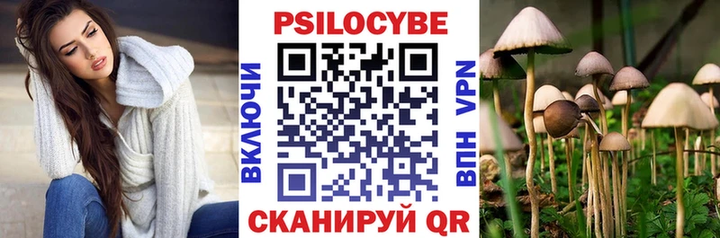 Псилоцибиновые грибы прущие грибы  нарко площадка телеграм  Асбест  купить наркотики сайты 
