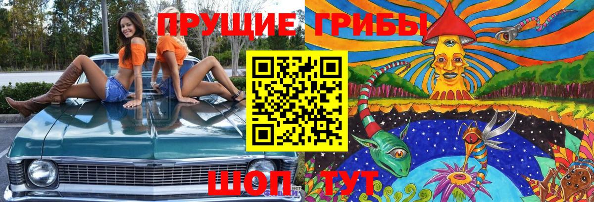 Псилоцибиновые грибы Magic Shrooms  Галлюциногенные грибы Cubensis  Вход с VPN  Асбест 